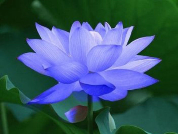 Sau ngày 4/4, 3 con giáp may mắn bất ngờ, 'độc chiếm' Thần Tài, bật công tắc may mắn, TÀI LỘC gia tăng, hút tiền không ngớt về túi - Ảnh 1