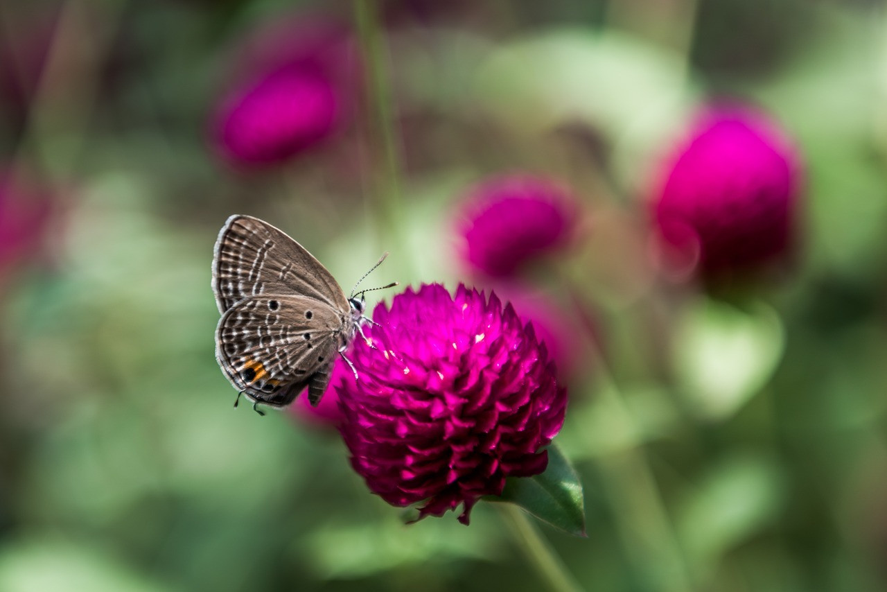 Tháng sinh Âm lịch của những đứa trẻ thông minh lanh lợi, phúc lộc dồi dào- Ảnh 1.