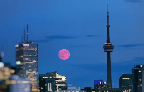 Cuối tuần này sẽ được ngắm 'Trăng Hồng' đặc biệt