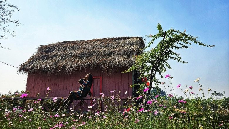 Căn 'nhà tranh' đẹp như phim trường của đạo diễn đang gây tiếng vang với 'Địa đạo'- Ảnh 14.