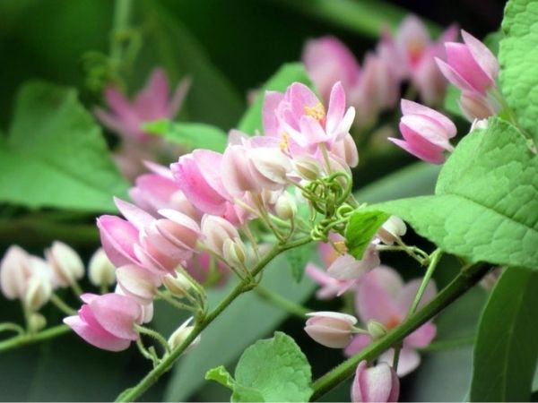 Trúng số độc đắc vào đúng hôm nay (12/4/2025), 3 con giáp là con cưng Thần Tài, gánh vàng về nhà, giàu có vang danh, PHÚC KHI dồi dào - Ảnh 2