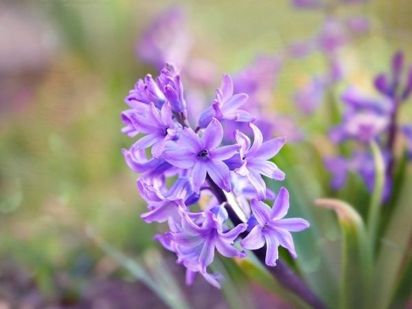 Trúng số độc đắc vào đúng hôm nay (12/4/2025), 3 con giáp là con cưng Thần Tài, gánh vàng về nhà, giàu có vang danh, PHÚC KHI dồi dào - Ảnh 3