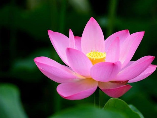 Đúng 20h hôm nay, ngày 13/4/2025, 3 con giáp có vận may bùng nổ, tài vận khởi sắc, mọi việc hanh thông, vừa có tiền vừa gặp may mắn, mọi việc thuận lợi - Ảnh 3