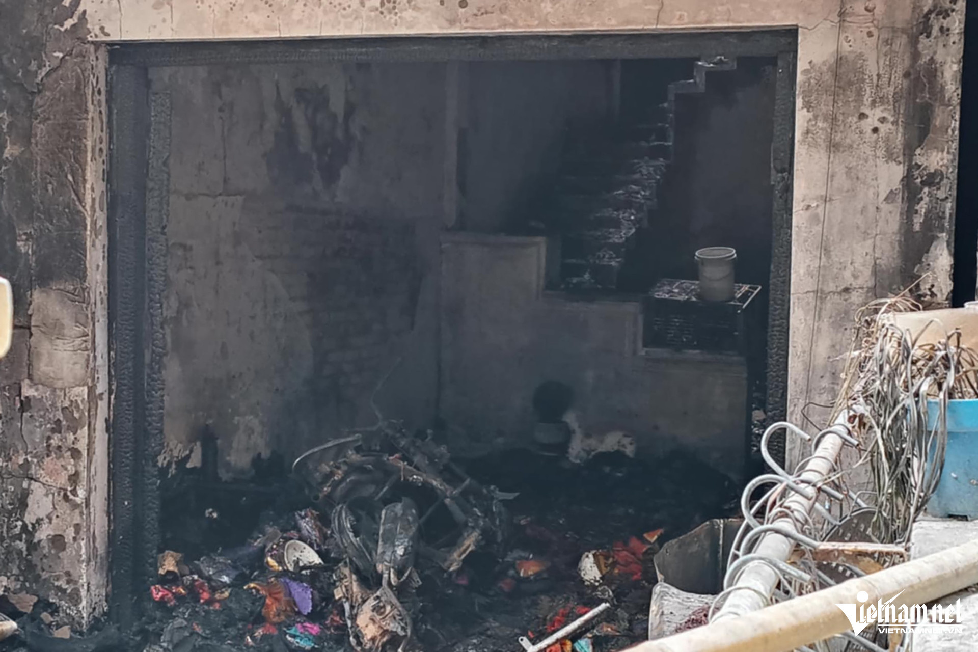 W-d6e9829f 5ba6 45c2 9206 478d5d705d02.jpeg