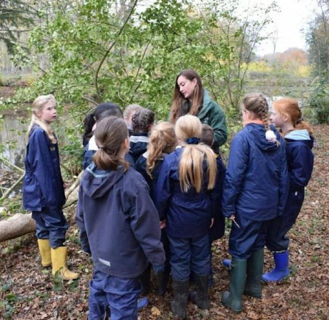 Mỹ nhân nổi tiếng showbiz ra sao sau khi người tình tỷ phú vào tù