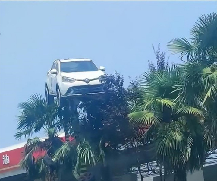 Bức ảnh gây xôn xao mạng xã hội Trung Quốc năm 2022.