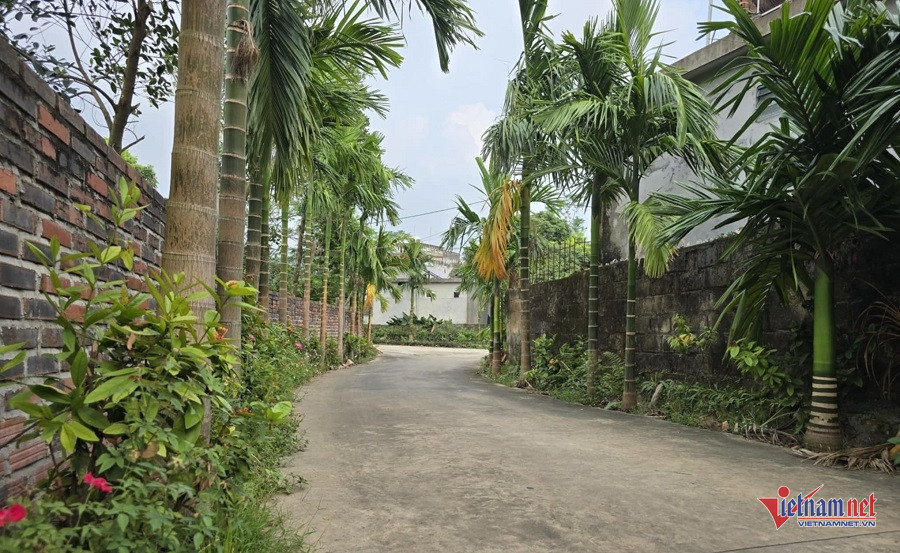 W-a147fd63 c10a 4e53 83a9 33c5747579dd.jpg