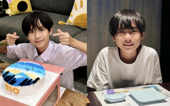 Hai con của Lý Hải Minh Hà gây sốt nhờ ngoại hình nổi bật