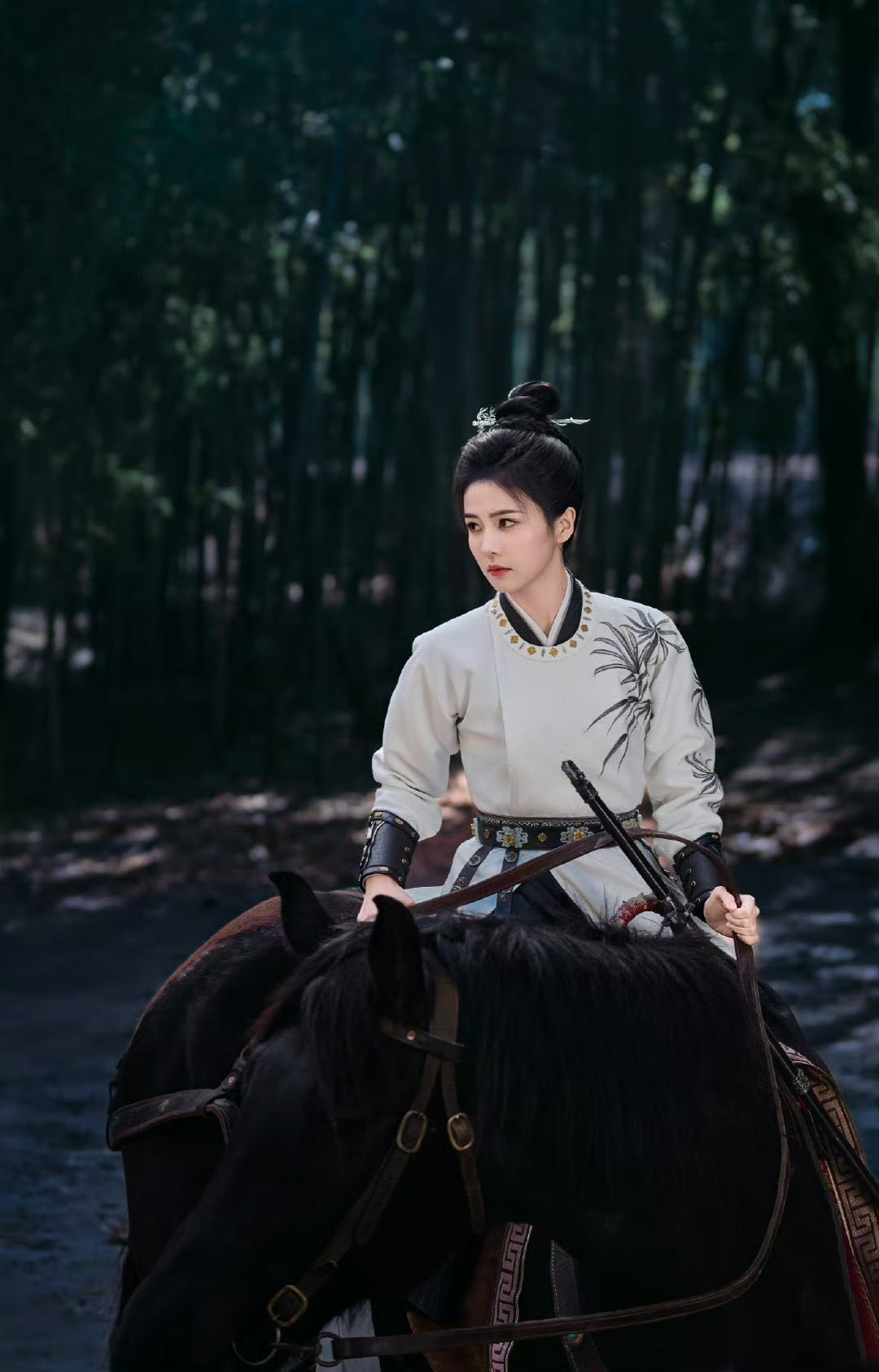 Vì sao Bạch Lộc hạn chế đóng phim cổ trang trong tương lai? - Ảnh 2