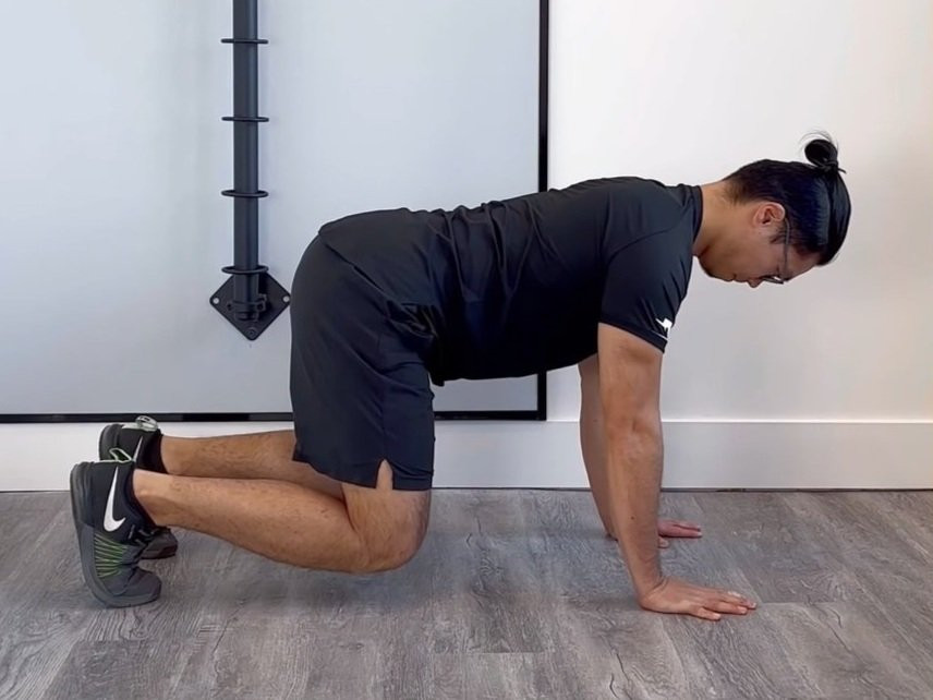 Bear Crawl Scapular Push Up — Rehab Hero