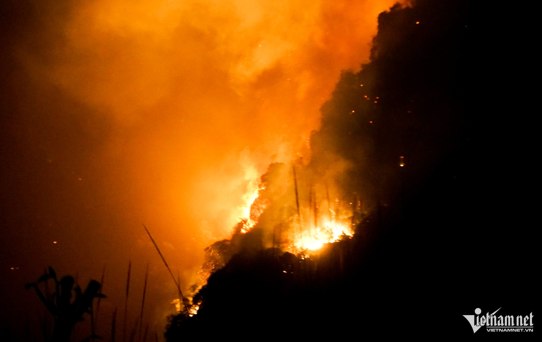 W-6f0f3da0 f97d 4e7b b0b7 1d4ecceb2e93.jpg