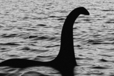 Người phụ nữ phát hiện sinh vật bí ẩn, nghi là quái vật hồ Loch Ness huyền thoại