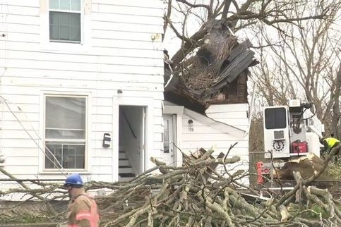 Đang ngủ, nam thanh niên thiệt mạng vì cây đổ vào nhà