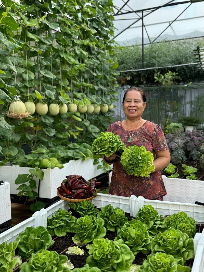 anh trong bài 2.jpg