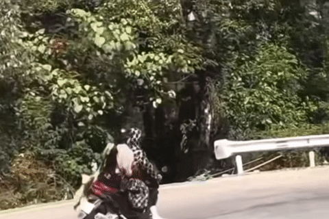 clip 2 co gai do deo o tam dao dam thang vao ho lan 90250.gif