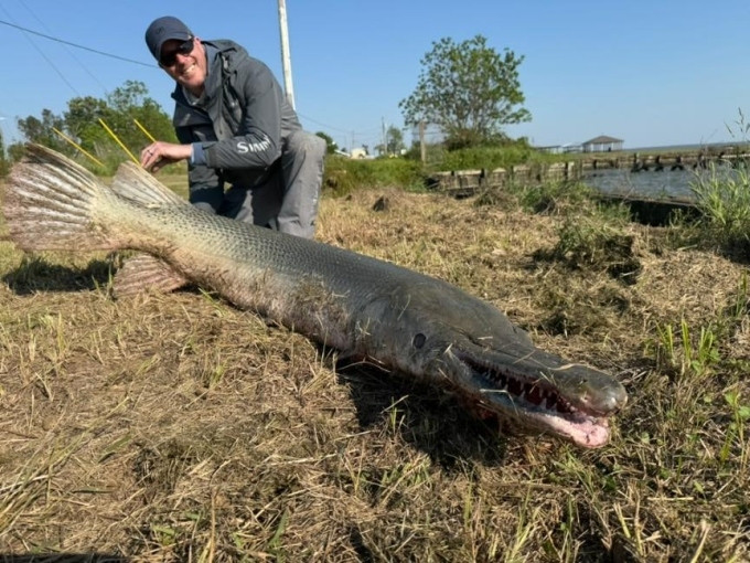 Cần thủ câu được con cá khổng lồ 2,2 mét, nặng 70kg trong hồ- Ảnh 1.