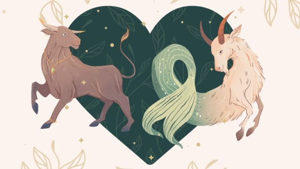 Khám phá cung Kim Ngưu Ai là đối tác hoàn hảo ai là kẻ khắc với Kim Ngưu