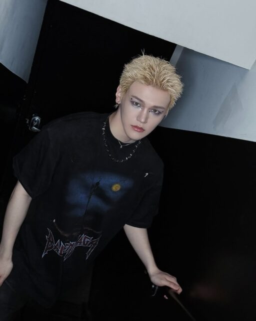 snapins ai3608703396233999697 5