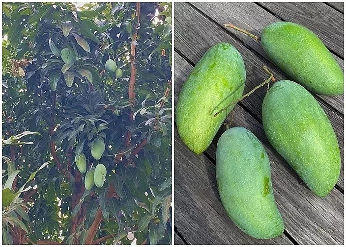 Làm dâu nhà tỷ phú, Tăng Thanh Hà - Linh Rin sống trong cơ ngơi khủng, nhiều người mơ ước- Ảnh 16.