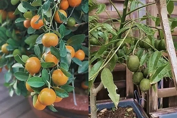 Làm dâu nhà tỷ phú, Tăng Thanh Hà - Linh Rin sống trong cơ ngơi khủng, nhiều người mơ ước- Ảnh 17.