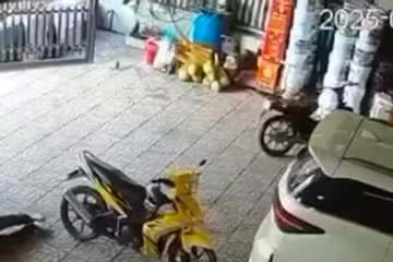 Diễn biến vụ người cha nữ sinh bị nạn bắn tài xế xe tải ở Vĩnh Long