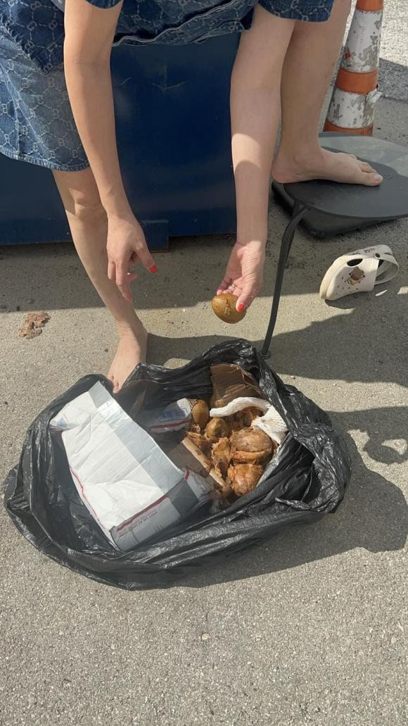 Hình ảnh Trang Trần đầu bù tóc rối ngồi bới rác bên Mỹ gây sốc