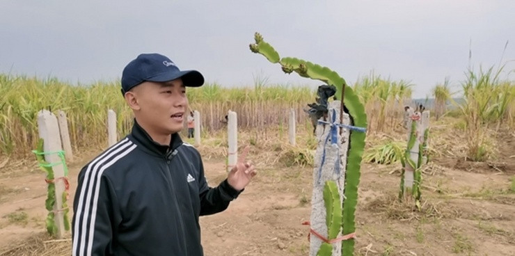 Choáng xem ảnh cận cảnh trang trại bạc tỷ rộng 14 ha của Quang Linh Vlog tại Châu Phi