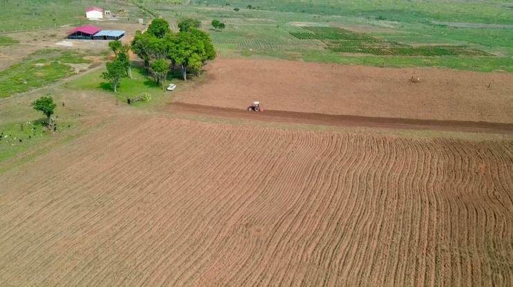 Choáng xem ảnh cận cảnh trang trại bạc tỷ rộng 14 ha của Quang Linh Vlog tại Châu Phi