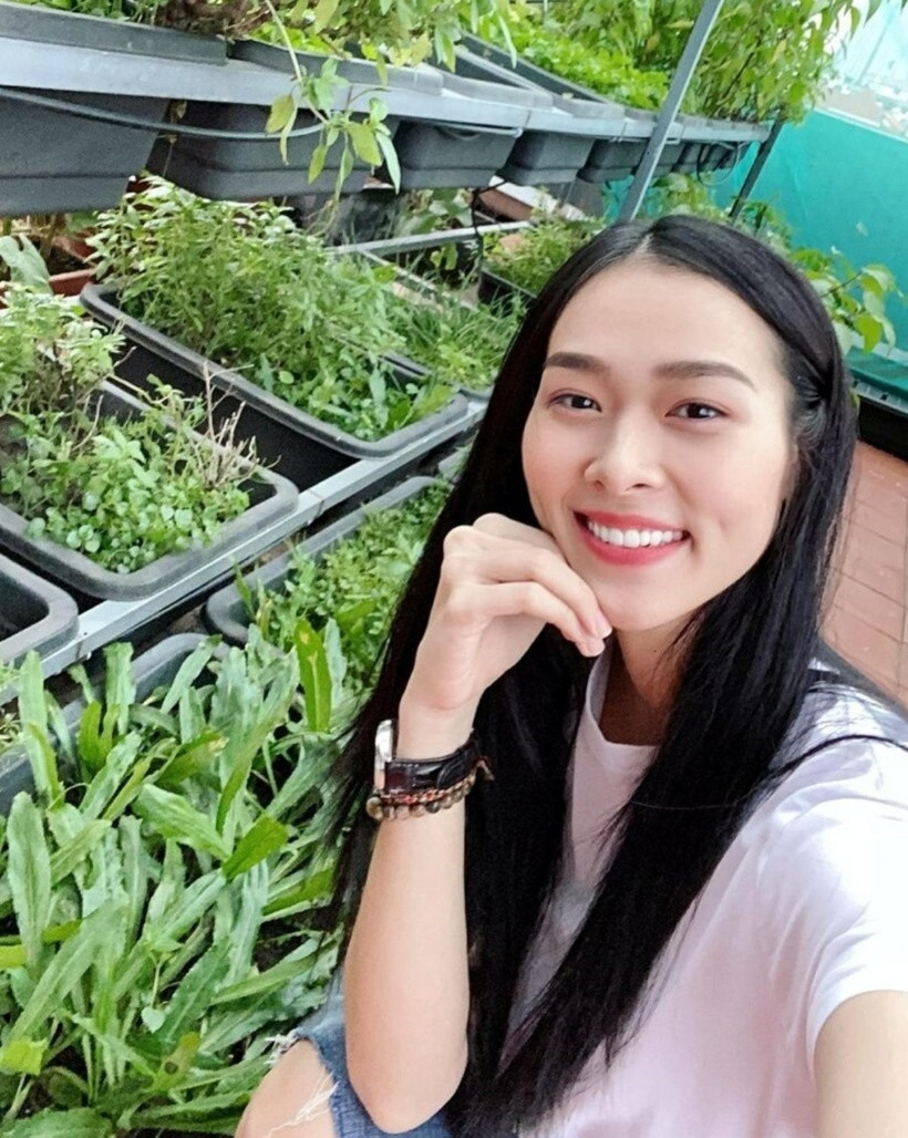 “Vào những ngày thường, tôi dành thời gian lên thăm vườn. Nhà tôi trồng toàn rau organic. Chiều nào cũng lên thăm mấy