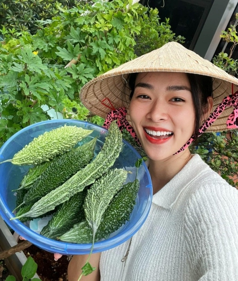 Nữ diễn viên nhận được nhiều lời khen từ đồng nghiệp vì khéo tay. Ngoài ra, không ít người hâm mộ hỏi cô bí quyết chăm sóc vườn.