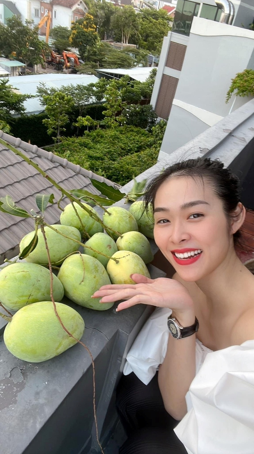 Trước đây, Diệp Bảo Ngọc cũng từng chia sẻ niềm vui thu hoạch rau củ và quả trong khu vườn trên cao.