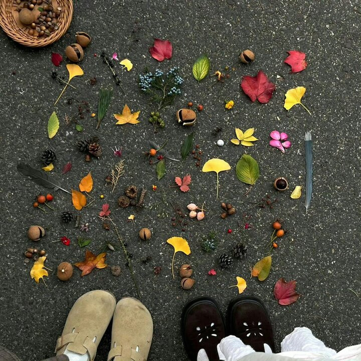 Đừng quên, trào lưu này chỉ thực sự có giá trị nếu bạn nhặt hoa, lá rơi rụng. Tuyệt đối đừng ngắt, bẻ chúng tuỳ tiện để giữ gìn cảnh quan! (Ảnh: Autumn is falling)