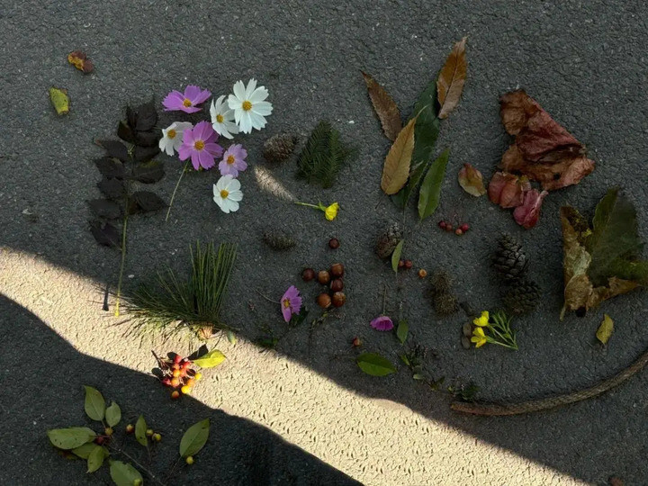 Hóa ra, thứ tưởng như bỏ đi lại xinh đẹp đến vậy. (Ảnh: The Paper)