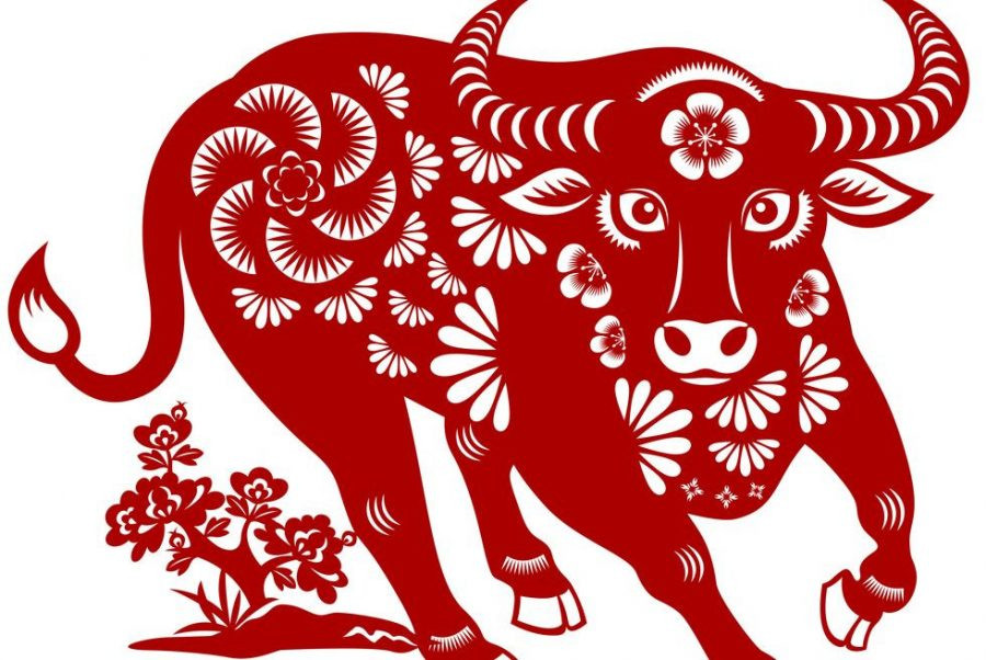 Dự báo tử vi tuần mới của các con giáp tuổi Tý, Sửu, Mão, Thìn, Ngọ, Thân, Tuất, Hợi từ nay tới 13/4 có những biến động đầy bất ngờ - Ảnh 3.