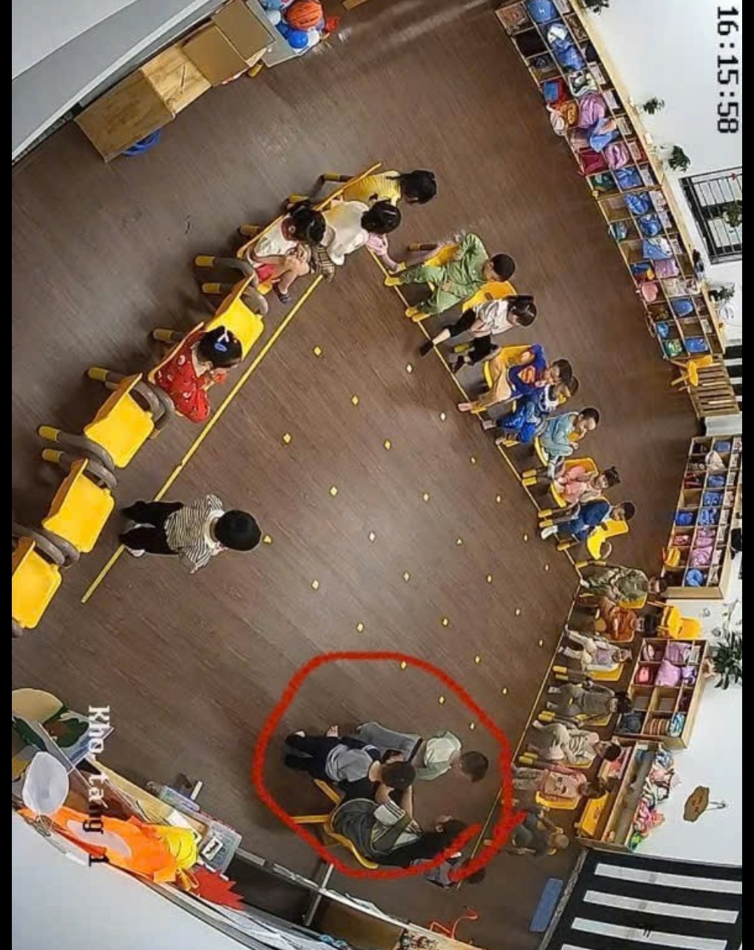 Hải Phòng: Một giáo viên Mầm non mất việc vì kiểm tra vùng kín học sinh ngay trên lớp- Ảnh 1.