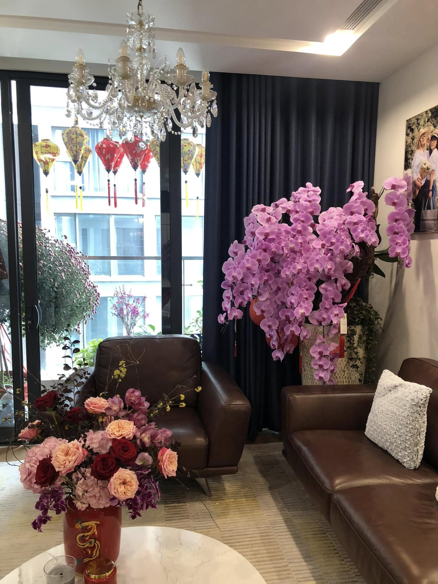 'Mỹ nhân màn ảnh' Hoàng Cúc 14 năm chống chọi bệnh ung thư, tuổi xế chiều ra sao? 'Mỹ nhân màn ảnh' Hoàng Cúc 14 năm chống chọi bệnh ung thư, tuổi xế chiều ra sao?- Ảnh 7.