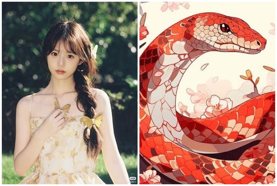 Tử vi 12 con giáp Chủ Nhật ngày 11/5/2025: Tý gặp khó khăn, Tỵ đầu tư có lời