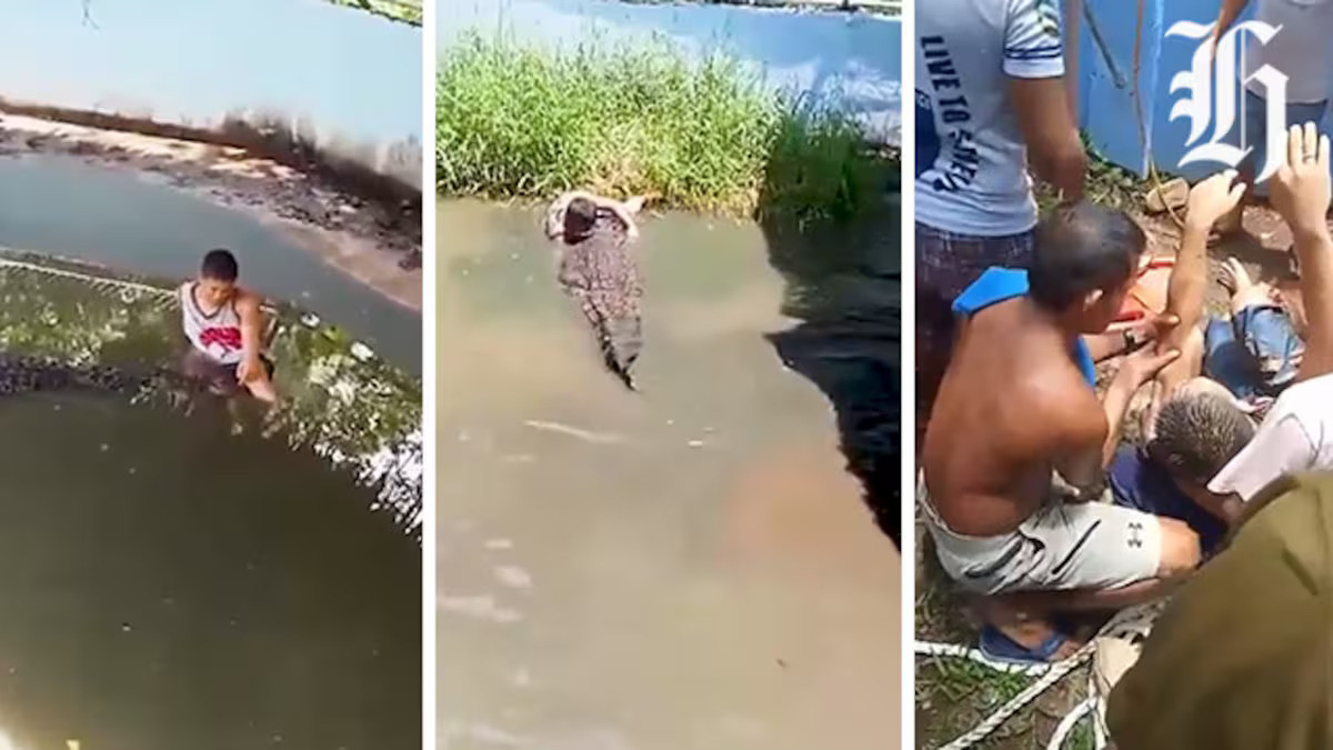 Du khách bị cá sấu tấn công nghiêm trọng vì 'cú nhầm lẫn' tai hại ựha4elj3lj53.jpg