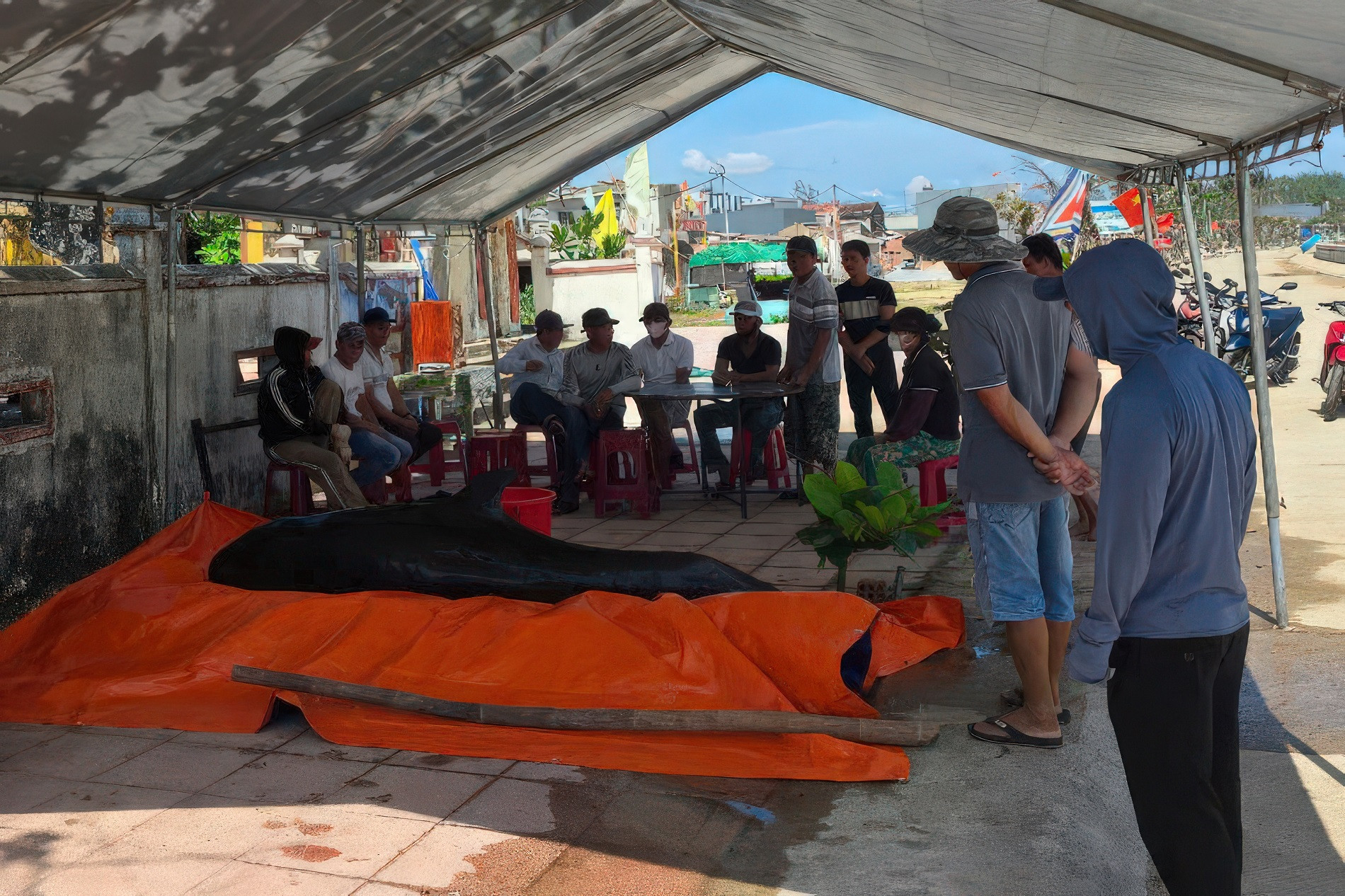 z6592531181272_c99d67eb9cd5fbfa568c81cfb0883c7c gigapixel standard v2 6x.jpeg