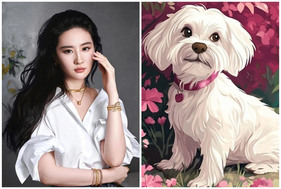 Tử vi 12 con giáp thứ Tư ngày 14/5/2025: Tăng trưởng tài chính, công việc suôn sẻ