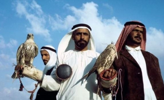 Loài chim đắt đỏ bậc nhất thế giới, giá gần nửa tỷ đồng/con, được cấp hộ chiếu, ngồi khoang hạng nhất- Ảnh 1.