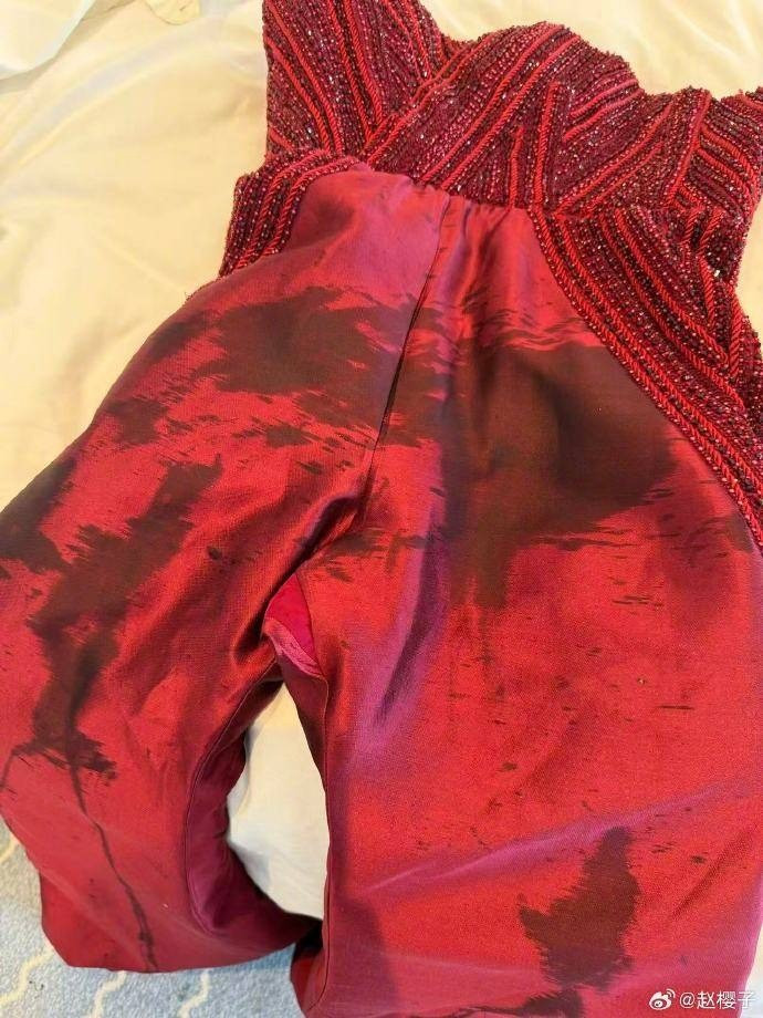 Sao Trung Quốc mặc hở bị bảo vệ mời rời khỏi thảm đỏ Cannes ảnh 1