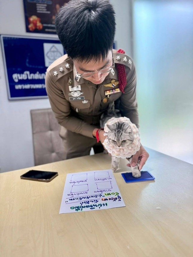 Chú mèo đi lạc bị buộc tội vì cắn nhiều cảnh sát, dân mạng khó nhịn cười ảnh 2