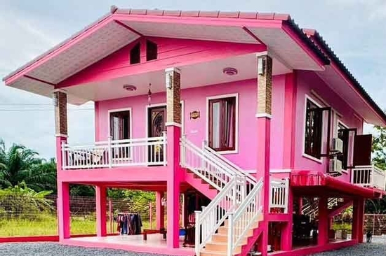 Cô gái xây ngôi nhà màu hồng mơ ước, đưa mẹ và bà ngoại đến ở cùng