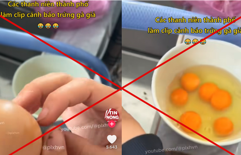 Thông tin 'trứng gà giả' xuất hiện tràn lan trên mạng xã hội, thực hư ra sao?
