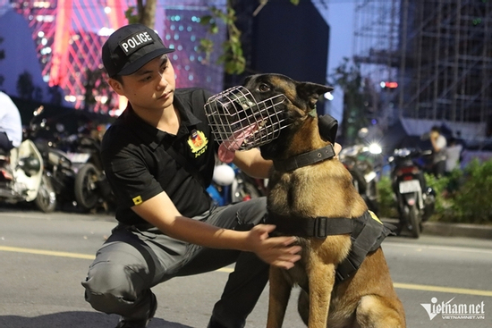 Những trợ thủ đặc biệt của cảnh vệ chuyên phát hiện chất nổ ở phòng VIP lễ 30/4