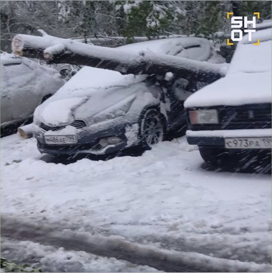 Tuyết phủ trắng Moscow. Ảnh: Moscow Times