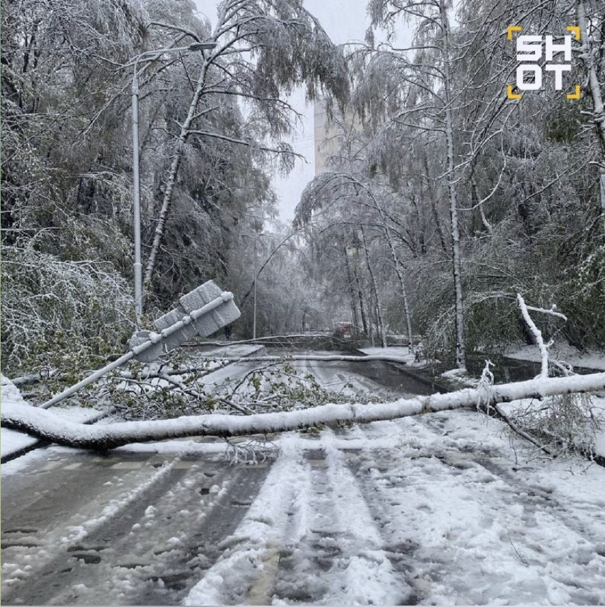 Tuyết phủ trắng Moscow. Ảnh: Moscow Times