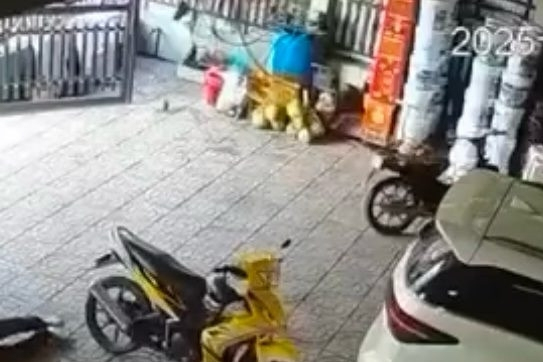 Vụ nổ súng ở Vĩnh Long: Khởi tố vụ án hình sự 'Giết người'