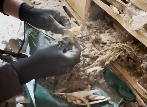 Cặp đôi ở Anh phát hiện ra xương, răng người,… khi sửa nhà.